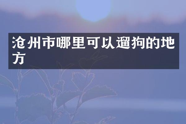 沧州市哪里可以遛狗的地方