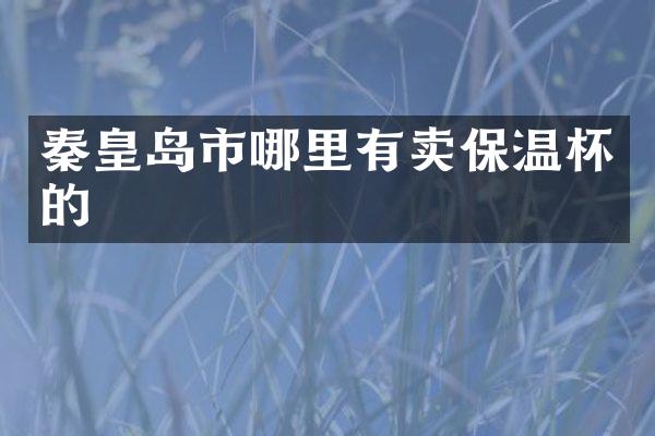 秦皇岛市哪里有卖保温杯的