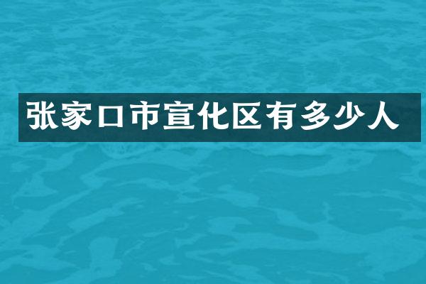 张家口市宣化区有多少人