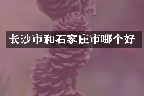 长沙市和石家庄市哪个好