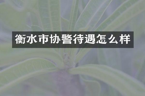 衡水市协警待遇怎么样