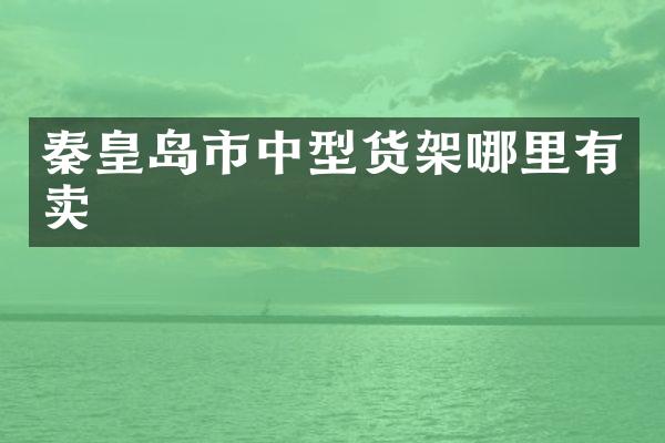 秦皇岛市中型货架哪里有卖