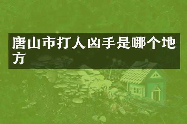 唐山市打人凶手是哪个地方