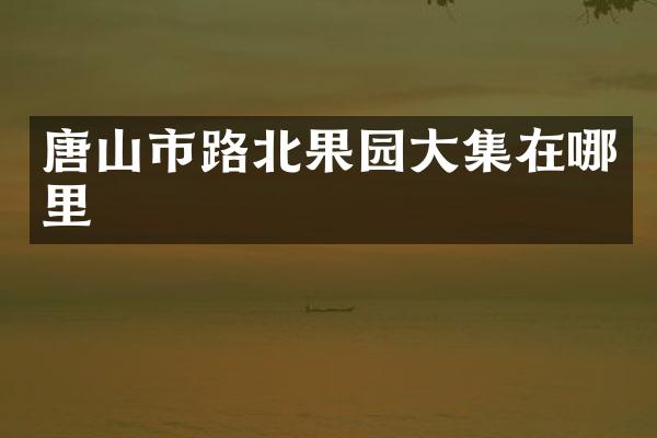 唐山市路北果园大集在哪里