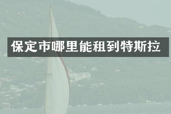 保定市哪里能租到特斯拉