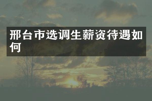 邢台市选调生薪资待遇如何