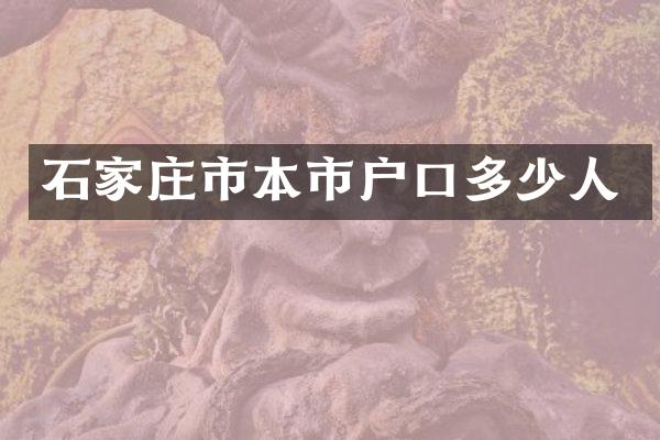 石家庄市本市户口多少人