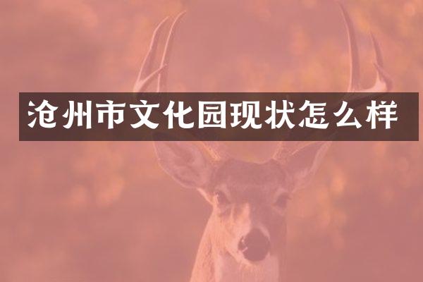沧州市文化园现状怎么样