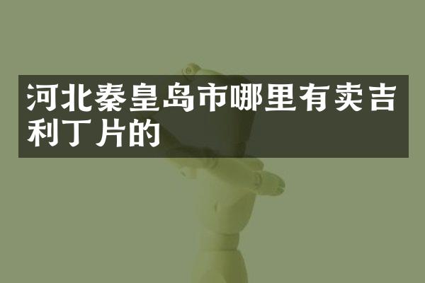 河北秦皇岛市哪里有卖吉利丁片的