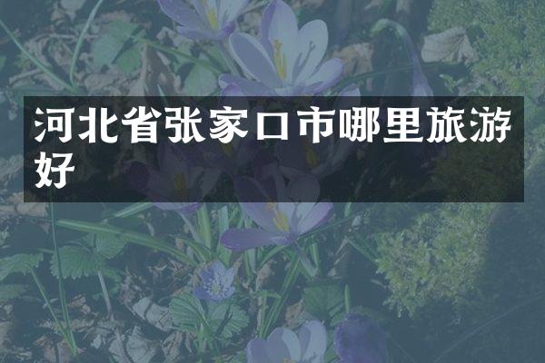 河北省张家口市哪里旅游好