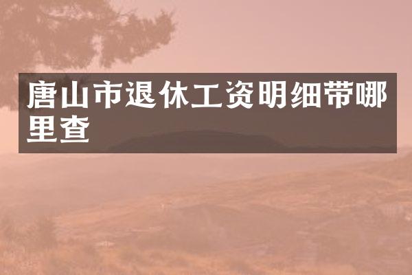 唐山市退休工资明细带哪里查