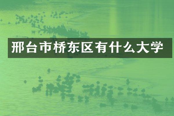 邢台市桥东区有什么大学