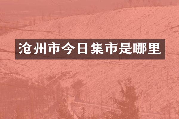 沧州市今日集市是哪里