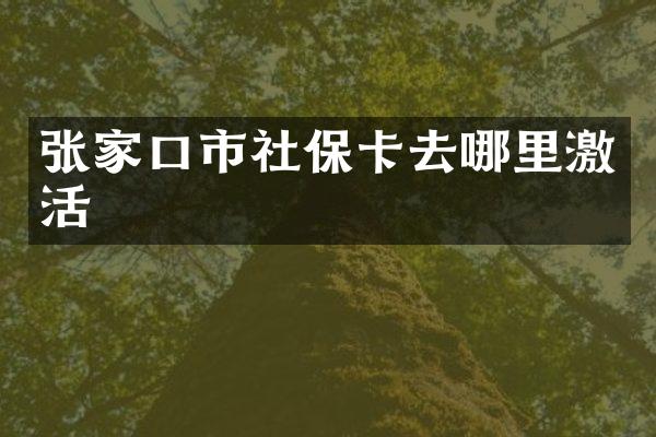 张家口市社保卡去哪里激活