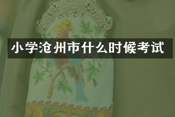 小学沧州市什么时候考试