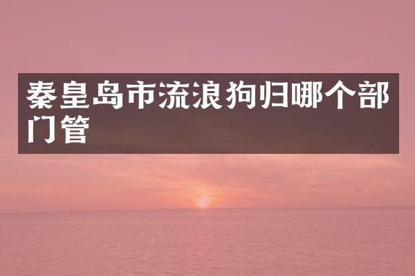 秦皇岛市流浪狗归哪个部门管