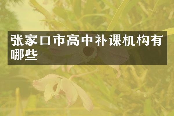 张家口市高中补课机构有哪些