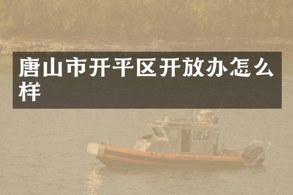 唐山市开平区开放办怎么样