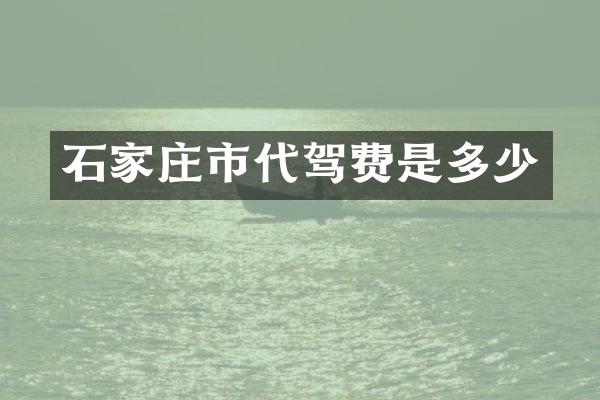石家庄市代驾费是多少