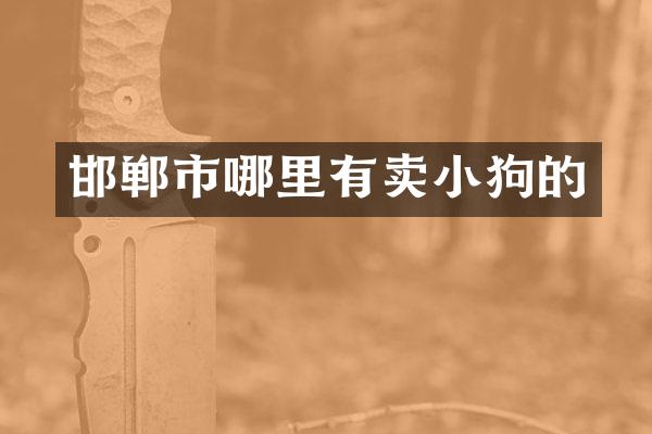 邯郸市哪里有卖小狗的