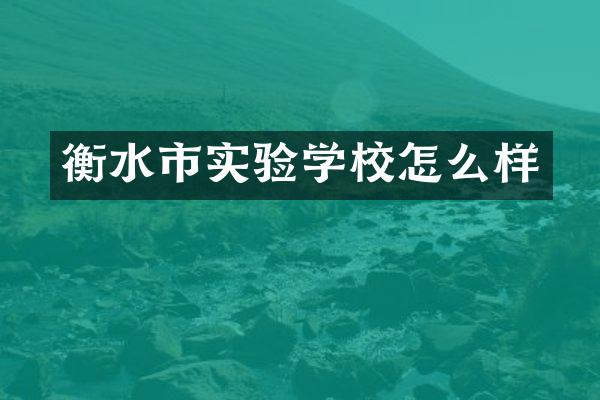 衡水市实验学校怎么样
