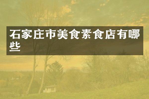 石家庄市美食素食店有哪些