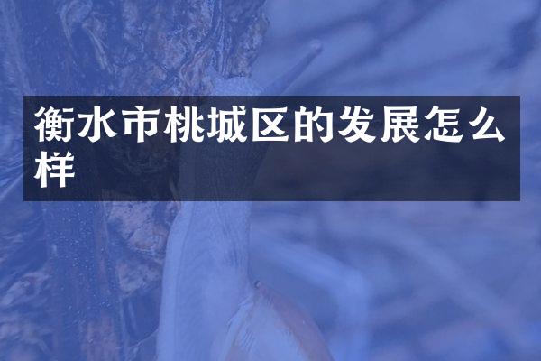 衡水市桃城区的发展怎么样