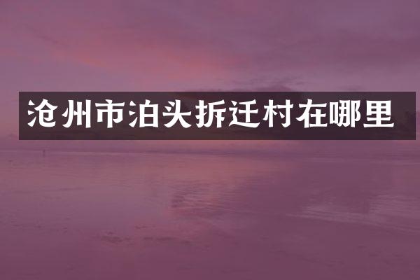 沧州市泊头拆迁村在哪里