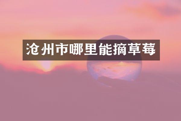 沧州市哪里能摘草莓