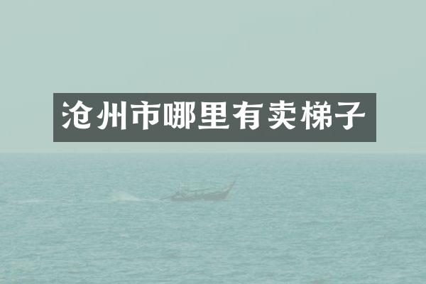 沧州市哪里有卖梯子