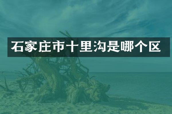石家庄市十里沟是哪个区