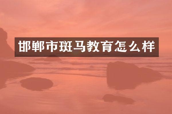 邯郸市斑马教育怎么样