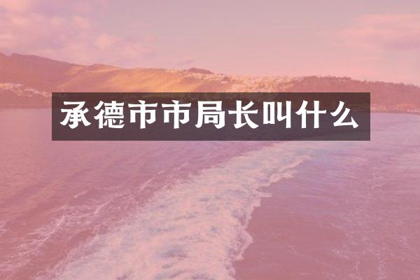 承德市市局长叫什么