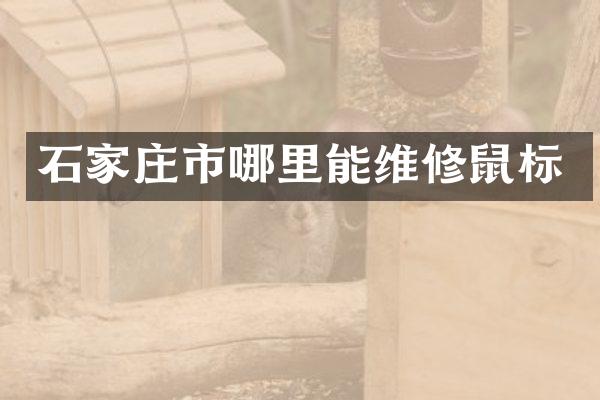 石家庄市哪里能维修鼠标