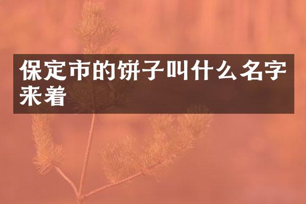 保定市的饼子叫什么名字来着