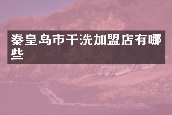 秦皇岛市干洗加盟店有哪些