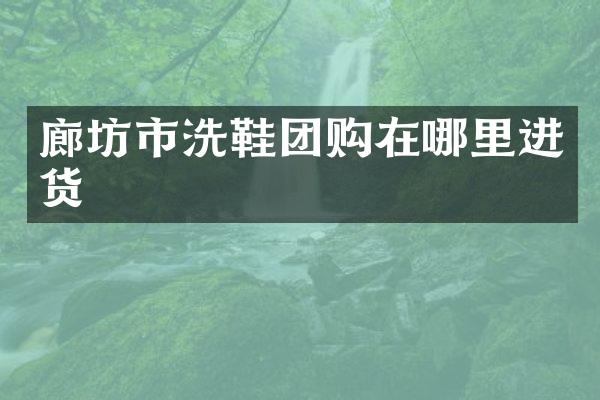 廊坊市洗鞋团购在哪里进货