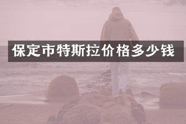 保定市特斯拉价格多少钱