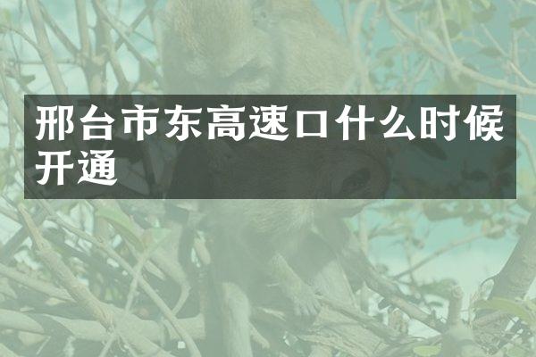 邢台市东高速口什么时候开通