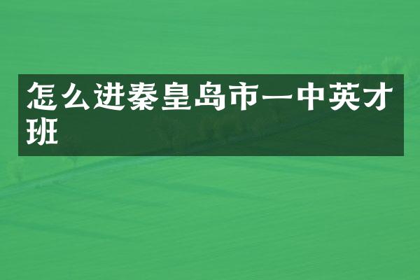 怎么进秦皇岛市一中英才班