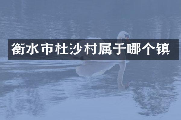 衡水市杜沙村属于哪个镇