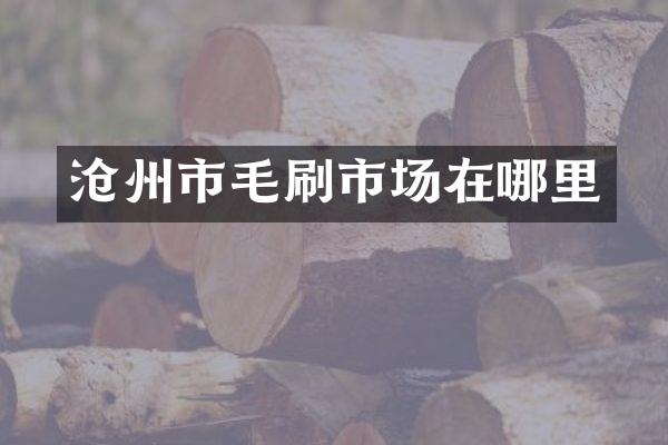沧州市毛刷市场在哪里