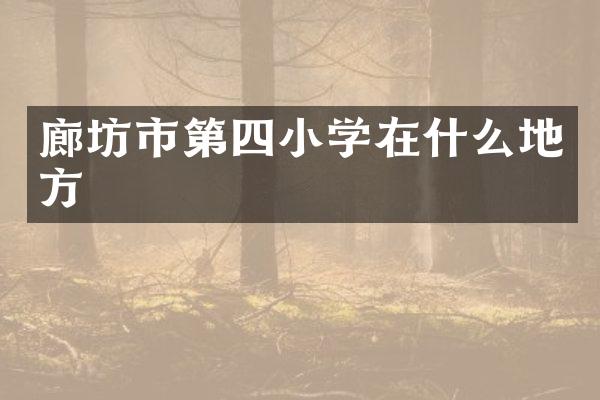 廊坊市第四小学在什么地方