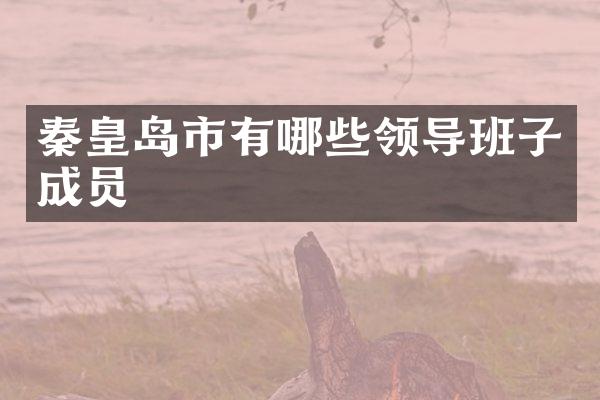 秦皇岛市有哪些领导班子成员