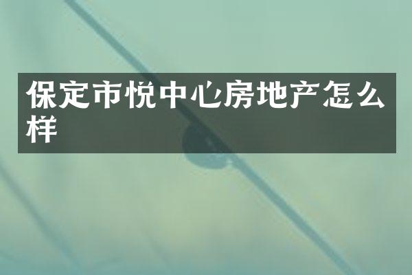 保定市悦中心房地产怎么样