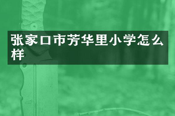 张家口市芳华里小学怎么样