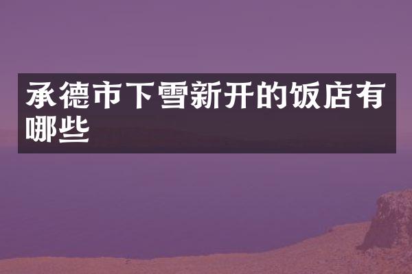 承德市下雪新开的饭店有哪些