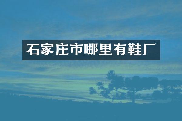 石家庄市哪里有鞋厂