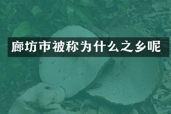 廊坊市被称为什么之乡呢