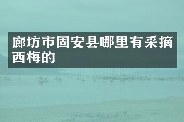 廊坊市固安县哪里有采摘西梅的